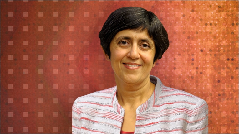 2018 Ken Kennedy Award recipient Sarita Adve